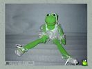 frogs_0018.jpg